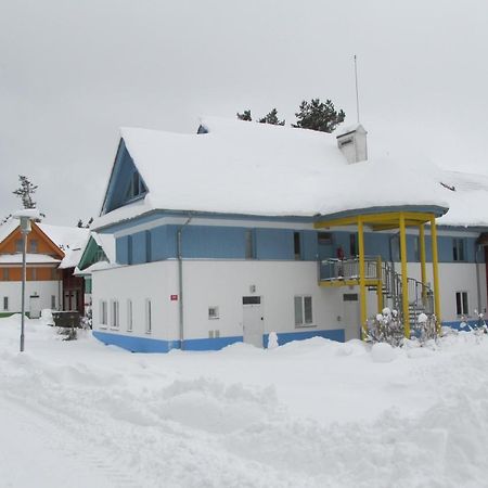 Appartement Apartman Riviera à Lipno nad Vltavou Extérieur photo