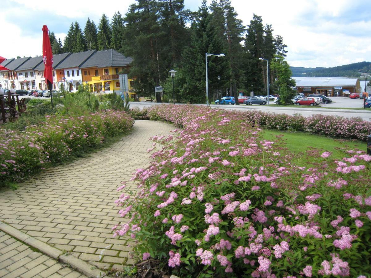 Appartement Apartman Riviera à Lipno nad Vltavou Extérieur photo